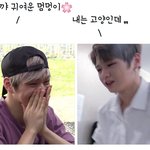 [강다니엘] 강다니엘 시리즈 내는 고양인데,,