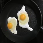 [NCT] 배고픈데 계란후라이