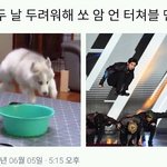 [EXO] 구 제목<b>학원</b>