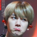 [EXO] 나처럼 돌아가면서 <b>멤버</b><b>한</b>명씩 앓는사람있냐