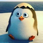 [드루와] 조카 소름돋는 이야기 무서운거 못보면 들어오지 <b>마센</b>