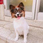 [NCT] <b>루비</b>도 태용이닮아 화려한것 같아 ㅋㅋ