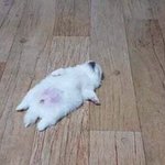 <b>톡</b>선 3개 <b>판</b>녀시대글 뭐냐