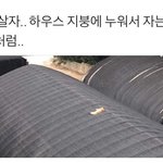 근데 <b>이채연</b>