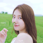 [댓글부탁해] 수지나 설현이 다이어트 전후가