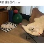 [추반ㄱㄱㄱ] 둘 중에 어떤 남자랑 사귈거얌