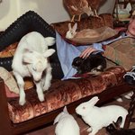 [EXO] <b>모델사진</b>보면서 상상하자