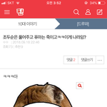 얘ㄹㅇ무식하다 진짜