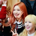 오렌지 <b>수영</b>이