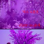 [뮤비] ㅁㅊ)중국남자그룹 <b>대뷔</b>뮤비 표절 빅스,샤이니등