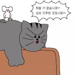 [조언부탁해] 남자한테 연락 ㅈㄴ자연스럽게 하는법좀