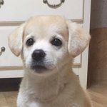 짝<b>남</b>이랑 영어 짝인데 요즘 설레고 행복한 나날들만 보낸다