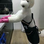 [추반] 솔솔솔말린솔방울 vs 달달달한대추차 추반좀