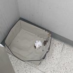 [개깊은빡침] 남의 집 문앞에 똥이 왠말입니까.