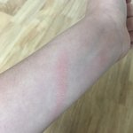 추석에 돈받으면 이거 꼭사라 ㅜㅜㅜ