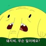 [댓글부탁해] 후리스랑 <b>후집</b>중에