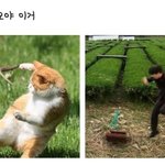 [EXO] <b>아악</b>