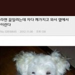 고3들아 교과전형 <b>상향</b>으로 넣으면 병신임????