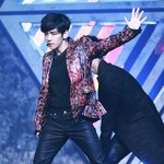 [EXO] 와 이거 비율 무슨일이냐