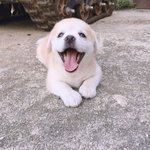 [댓글부탁해] <b>절미</b> 젤 좋아하는 사진..ㅠㅠ