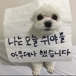 재업) 핑크<b>색</b>이나 <b>연보라색</b> 후드티 안에