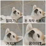 [드루와] 지금 아이<b>리무</b>버 세일하는곳있음??