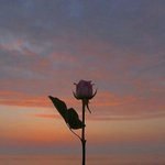 [19] 여기 판애들이랑 라인해본적 있는사람