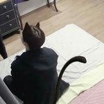 [드루와] 나 이러면 본진이랑 친목가능?