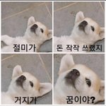 [댓글부탁해] 와 애들아 나 인스타에서 내 이상형찾음 시이바
