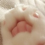 나 진짜 립밤 뭐<b>사지</b>.....