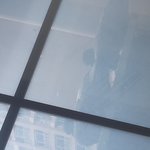 [댓글부탁해] 우리<b>집</b> 애완<b>새</b> 보고강