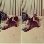 ㅈ<b>민자</b> 너 추석날 남자랑 햇냐