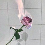 [댓글부탁해] 너네도 형제자매끼리 조카 싸우냐