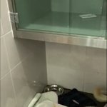 [강아지] 교통사고 <b>백구</b> 중기소식 입니다