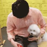야 왜 대학생유튜버들은 다 명문대냐