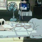 [댓글부탁해] 내친구 저번에 일본에서 우연히 양<b>홍원</b> 봤는데
