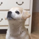[19] 썸남?이 <b>룸카페</b>가자는데