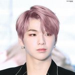 [강다니엘] 핑머녤 보고싶다