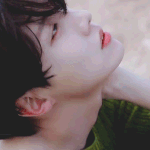 [방탄소년단] 머글인데요(결국 입덕했어요..)