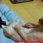 [댓글부탁해] 아까 스터디카페에서 좋아했었던애 만났어