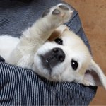 [드루와] 잠안오고 심심한사람 제발 내고민좀 들어줘ㅠㅠㅠㅠ