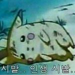 [조언부탁해] 돈이 없어서 대학 못가게 생겼다