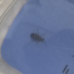 [댓글부탁해] 나 비인간적인가?