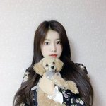 주인닮은 아이즈원 반려<b>견들</b>