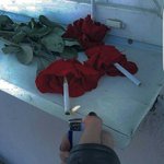 [댓글부탁해] 그럼 넌 나를 보며 뭔 생각하냐며 물어보는게 강아지같어