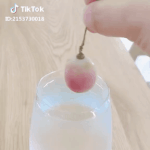 신기<b>방기</b>