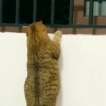 [댓글부탁해] 날 <b>소독</b>해 적셔 솜에