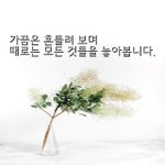 [좋은글귀] 가끔은 흔들려 보며 때로는 모든 것들을 놓아봅니다