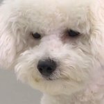 [드루와] 한국적인거 좋아하는애들 없냐