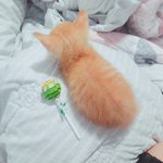 [댓글부탁해] 썸남한테 하트 이모티콘 <b>오바</b>야?